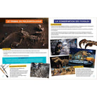 À la découverte des dinosaures - Livres - Boutique LeoLudo - Petits Génies