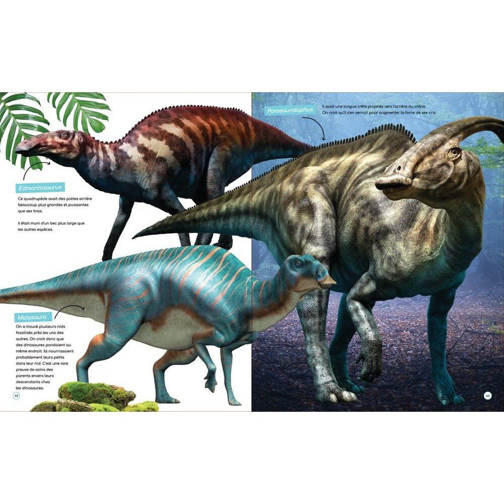 À la découverte des dinosaures - Livres - Boutique LeoLudo - Petits Génies