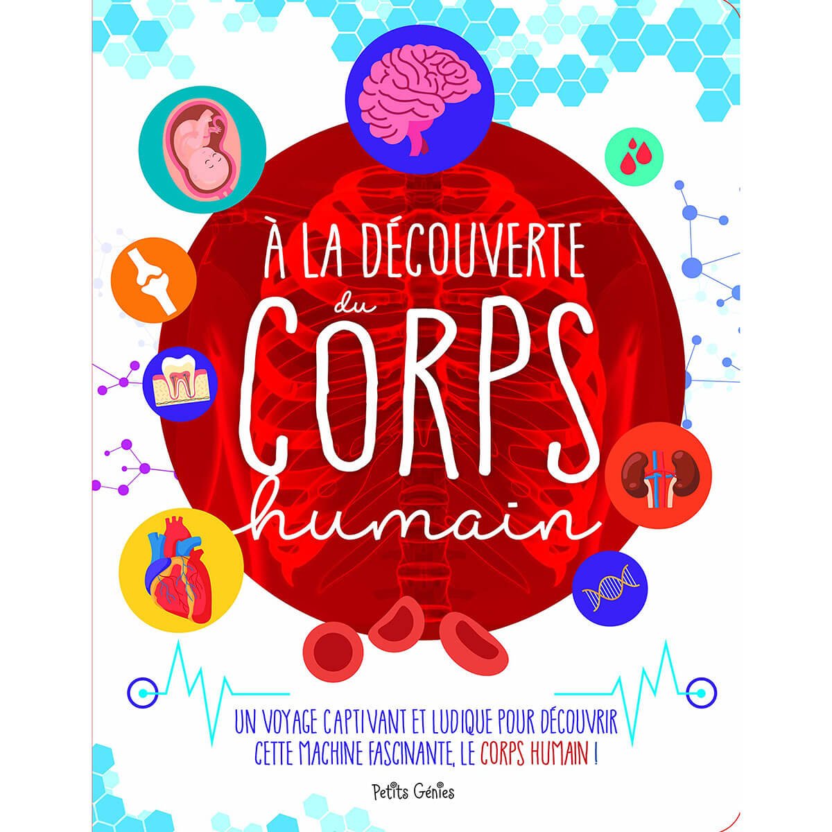 À la découverte du corps humain - Livres - Boutique LeoLudo - Petits Génies