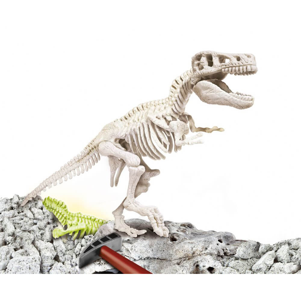 Archéo-ludic: T-Rex phosphorescent – Boutique LeoLudo