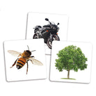 Cartes supplémentaires pour Dé des premiers mots - Jeux éducatifs - Boutique LeoLudo - Placote