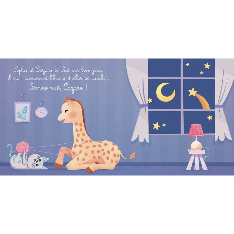 Coffret d'éveil - Mes histoires de Sophie la girafe - Livres d'éveil - Boutique LeoLudo - Auzou