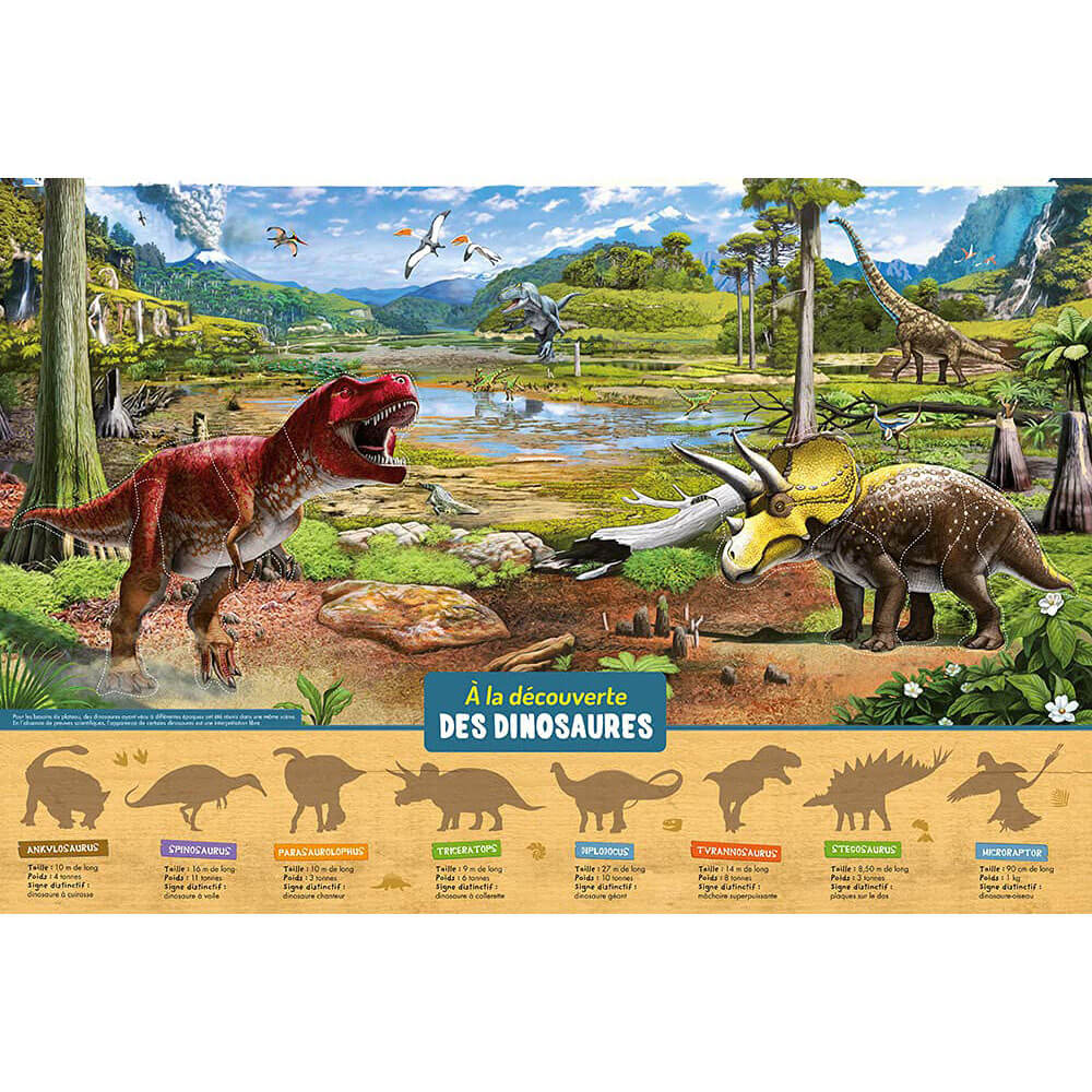 Dinosaures du Crétacé - Affiche - Funique - Boutique en ligne de jeux et  matériel pédagogique de sciences au Québec, Canada