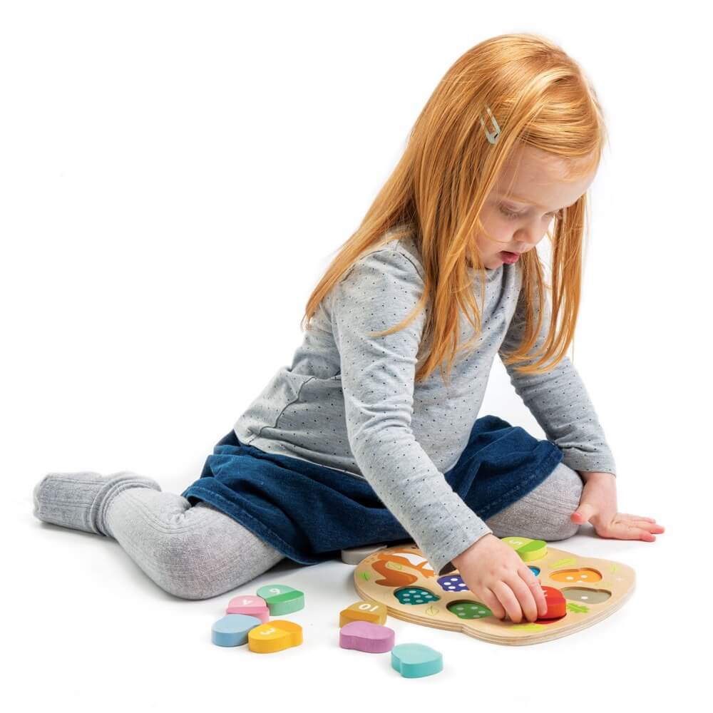 Combien de glands ? - Jeux éducatifs - Boutique LeoLudo - Tender Leaf Toys