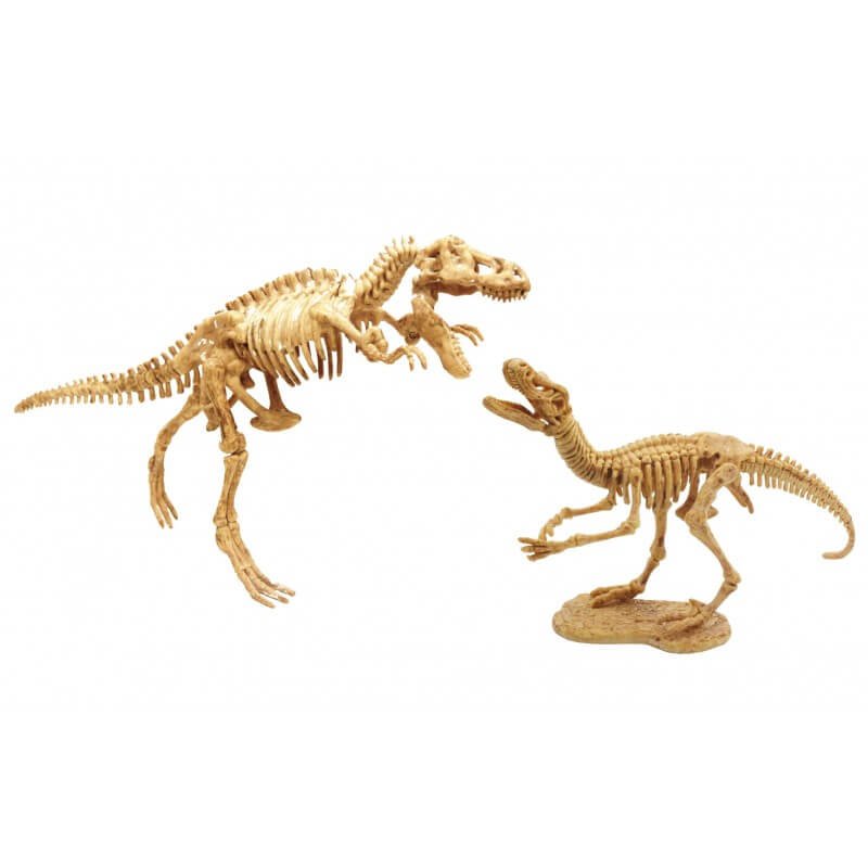 Ensemble d'archéologie Découvertes - Dino Dig - Jeux scientifiques - Boutique LeoLudo - Buki