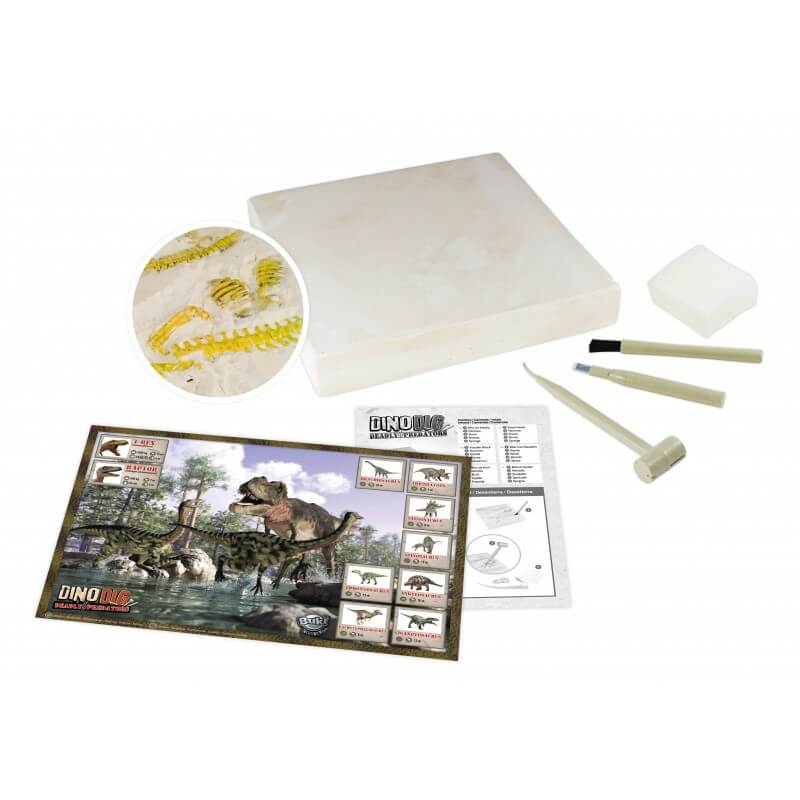 Ensemble d'archéologie Découvertes - Dino Dig - Jeux scientifiques - Boutique LeoLudo - Buki