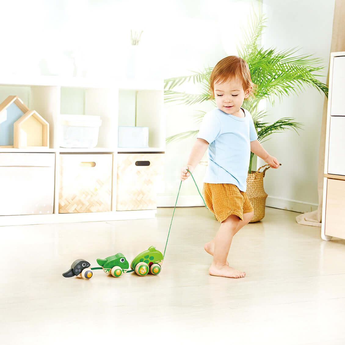 Famille de grenouilles à promener - Jouets à tirer / pousser - Boutique LeoLudo - Hape