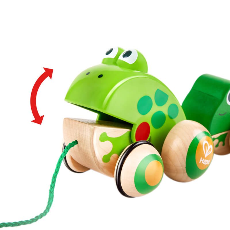 Famille de grenouilles à promener - Jouets à tirer / pousser - Boutique LeoLudo - Hape