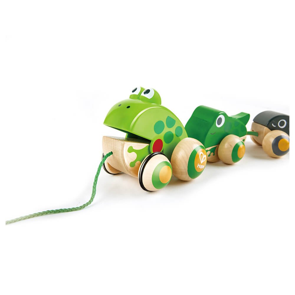 Famille de grenouilles à promener - Jouets à tirer / pousser - Boutique LeoLudo - Hape