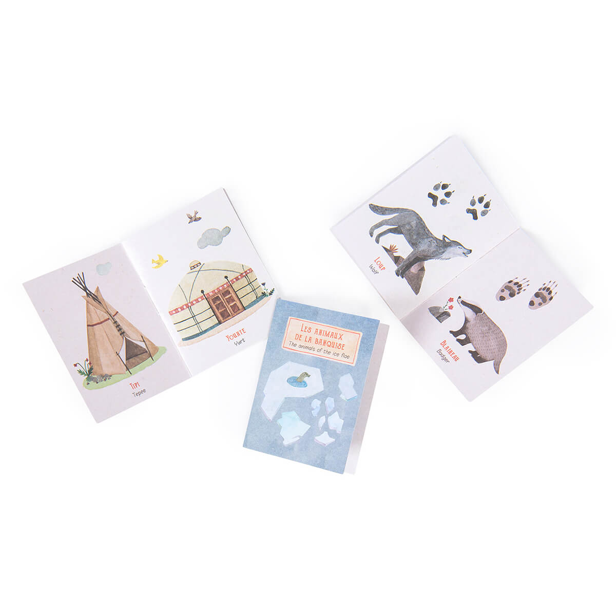 Lampe à histoires de l'explorateur - Lampes à histoire - Boutique LeoLudo - Moulin Roty