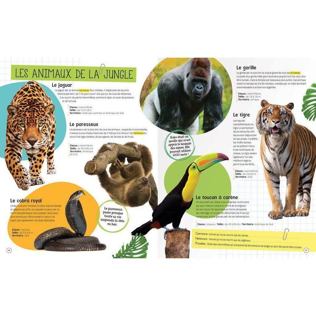 Le monde des animaux - Livres - Boutique LeoLudo - Petits Génies