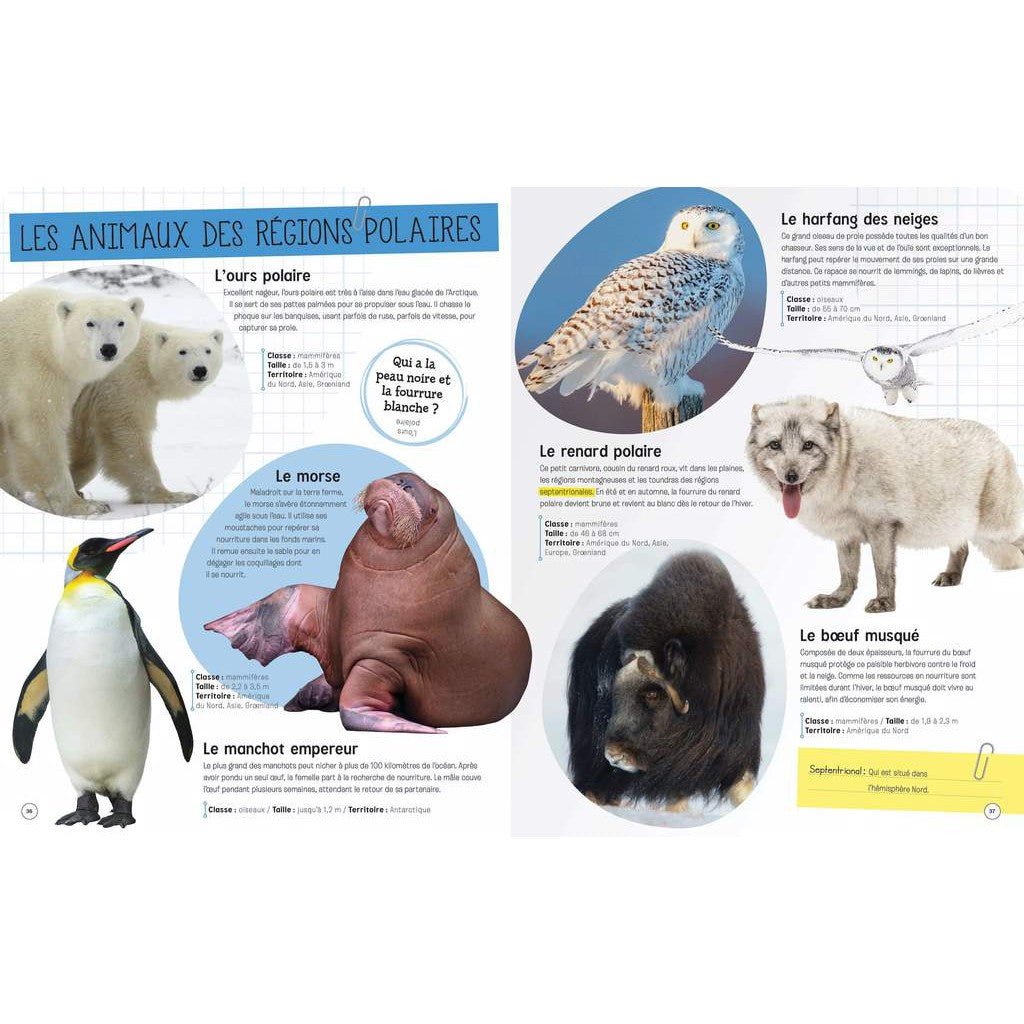 Le monde des animaux - Livres - Boutique LeoLudo - Petits Génies