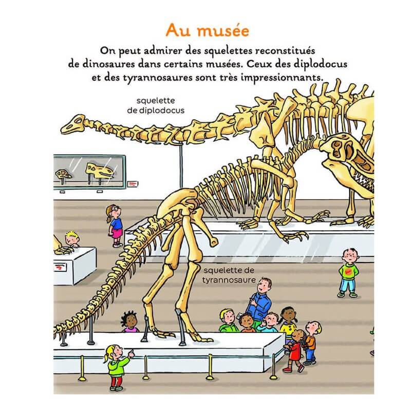 L'imagerie des tout-petits - Les dinosaures-Éditions Fleurus-Boutique LeoLudo