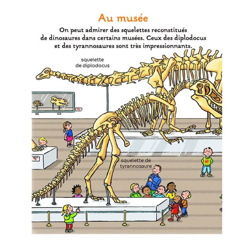 L'imagerie des tout - petits - Les dinosaures - Livres - Boutique LeoLudo - Éditions Fleurus