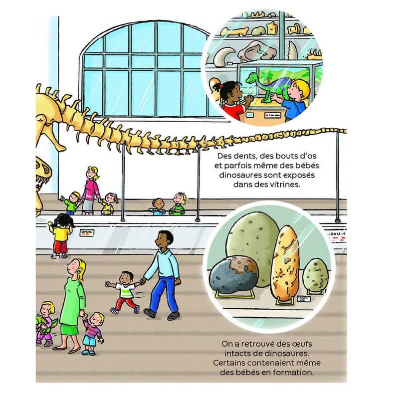 L'imagerie des tout - petits - Les dinosaures - Livres - Boutique LeoLudo - Éditions Fleurus
