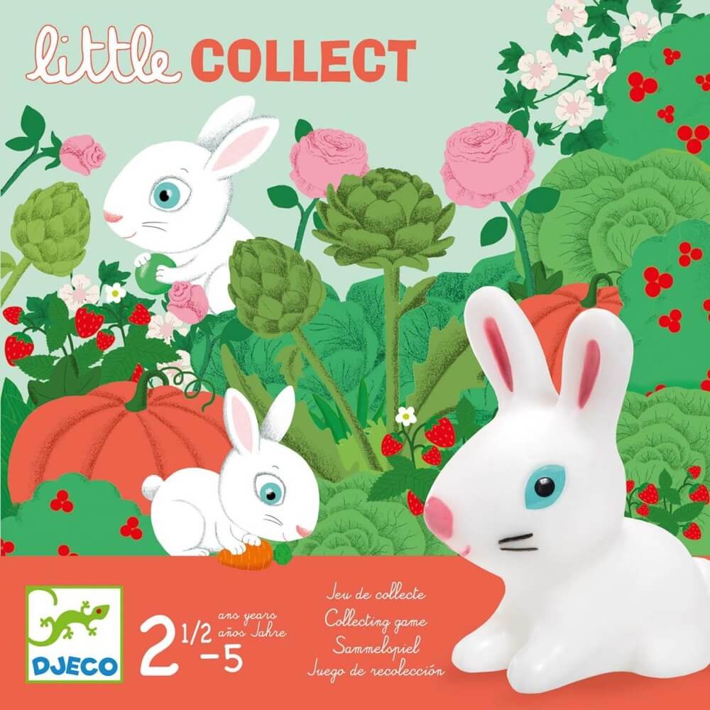 Little Collect-Jeux de société-Djeco-Boutique LeoLudo