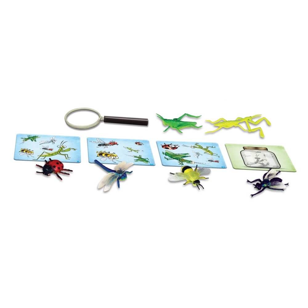 Ludo & Méninge - La chasse aux bestioles - Jeux de société - Boutique LeoLudo - Gladius