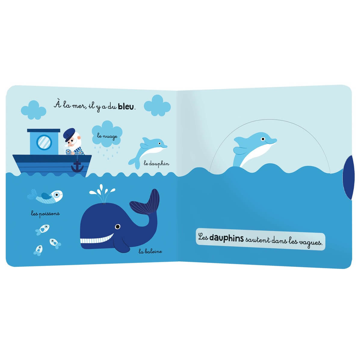 Mon Anim'agier - Les couleurs - Livres - Boutique LeoLudo - Auzou