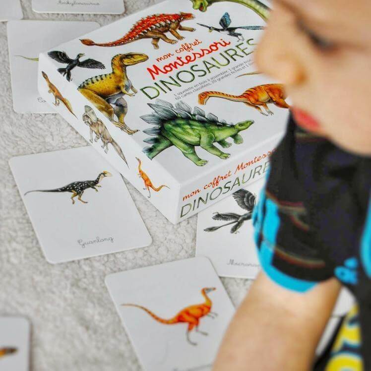 Mon coffret Montessori - Dinosaures - Jeux éducatifs - Boutique LeoLudo - Nathan