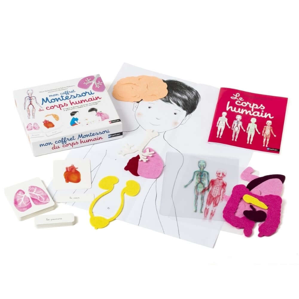 Mon coffret Montessori du corps humain - Jeux éducatifs - Boutique LeoLudo - Nathan