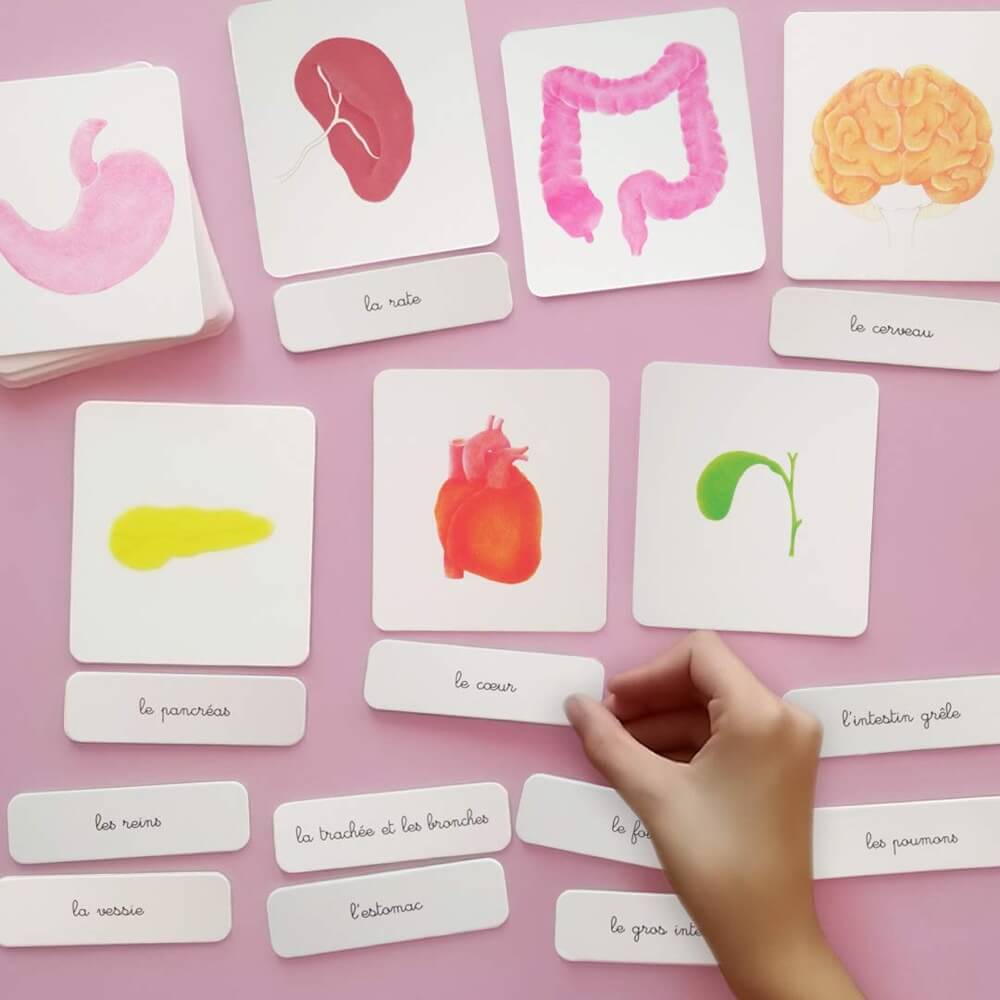Mon coffret Montessori du corps humain - Jeux éducatifs - Boutique LeoLudo - Nathan