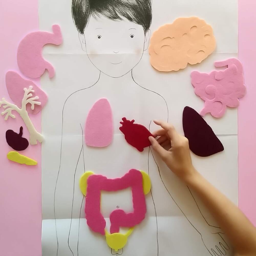 Mon coffret Montessori du corps humain - Jeux éducatifs - Boutique LeoLudo - Nathan