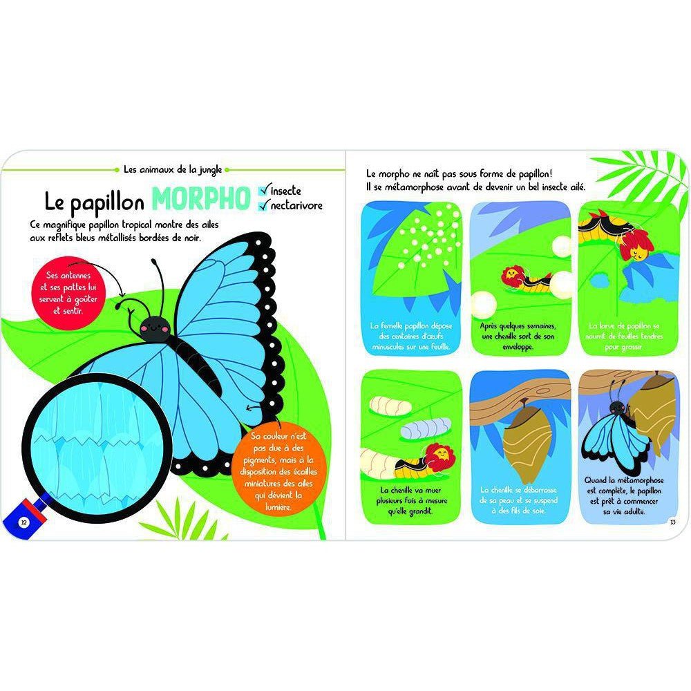 Mon encycloPETIT des Animaux - Livres - Boutique LeoLudo - Petits Génies