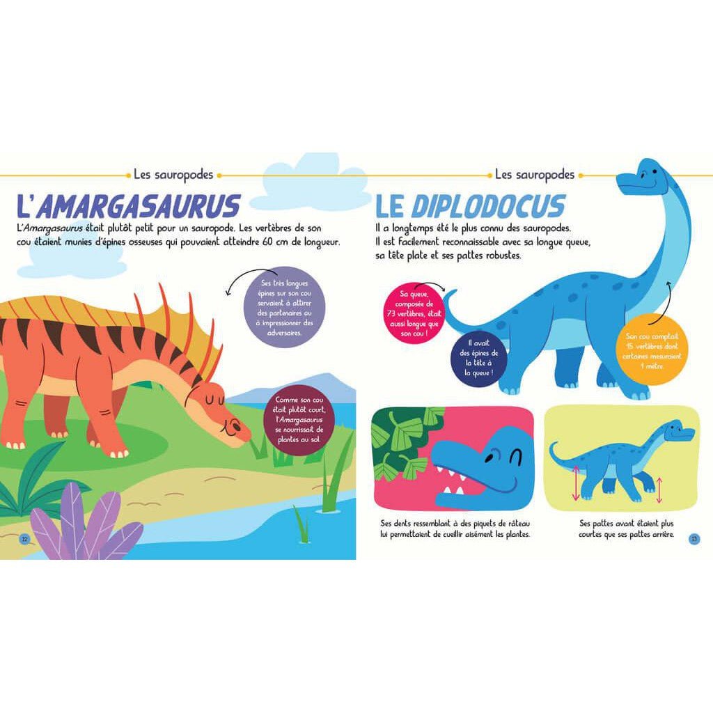Mon encycloPETIT des dinosaures - Livres - Boutique LeoLudo - Petits Génies