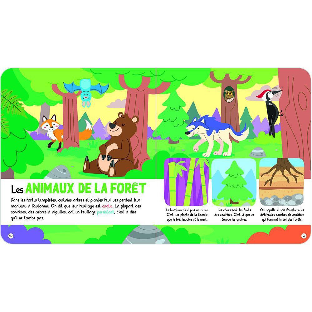 Mon encycloPETIT: Les animaux-Petits Génies-Boutique LeoLudo