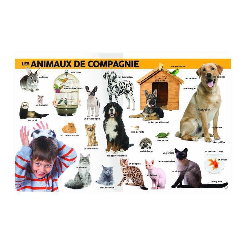 Mon imagier des 1000 mots - Livres - Boutique LeoLudo - Petits Génies