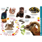 Mon livre géant des animaux - Livres - Boutique LeoLudo - Petits Génies