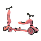 Trottinette 2 - en - 1 Highwaykick 1 - Pêche - Jeux d'extérieur - Boutique LeoLudo - Scoot & Ride