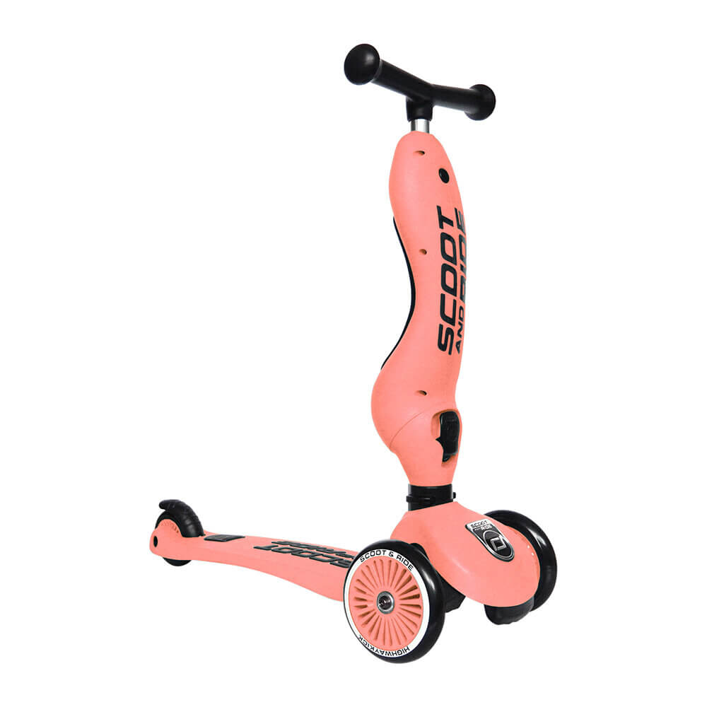 Trottinette 2 - en - 1 Highwaykick 1 - Pêche - Jeux d'extérieur - Boutique LeoLudo - Scoot & Ride